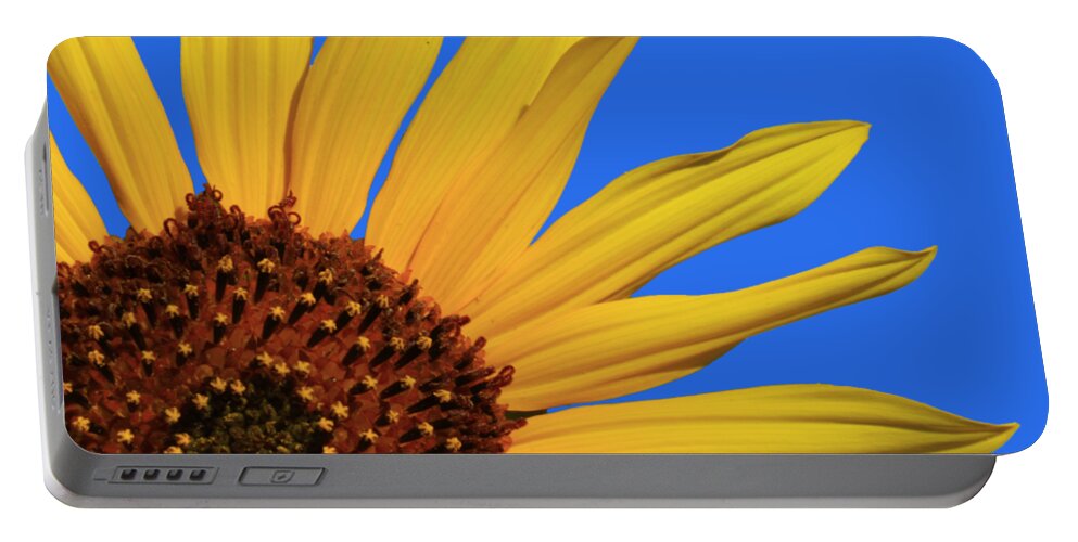Wild Sunflower Portable Battery Charger featuring the photograph Wild Sunflower by Shane Bechler