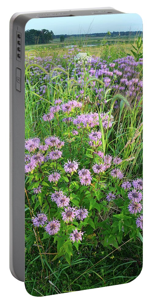 Black Eyed Susan Portable Battery Charger featuring the photograph Wildflower Bouquet in Glacial Park by Ray Mathis
