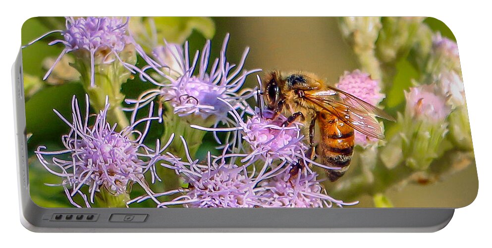 Wild Flower Portable Battery Charger featuring the photograph Wildflower with Bee by Tom Claud