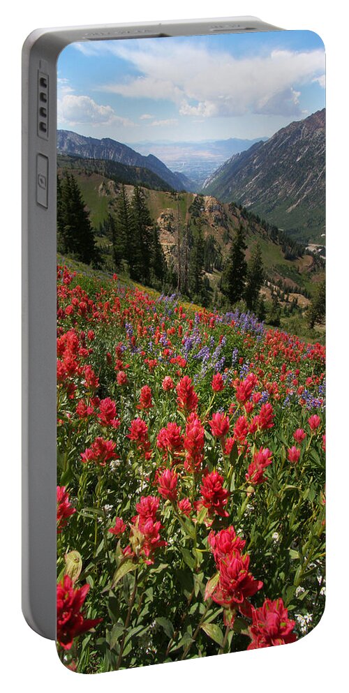 Landscape Portable Battery Charger featuring the photograph Wildflowers and View Down Canyon by Brett Pelletier