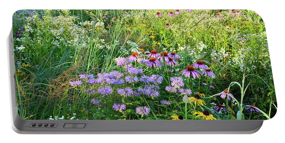 Mchenry County Conservation District Portable Battery Charger featuring the photograph Wildflowers in Moraine Hills State Park by Ray Mathis