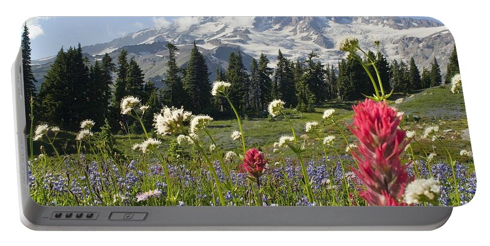 Attractions Portable Battery Charger featuring the photograph Wildflowers In Mount Rainier National by Dan Sherwood
