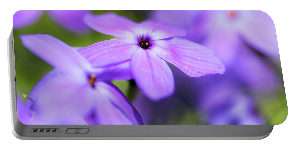 Purple Portable Battery Charger featuring the photograph Wildflowers by Jody Partin