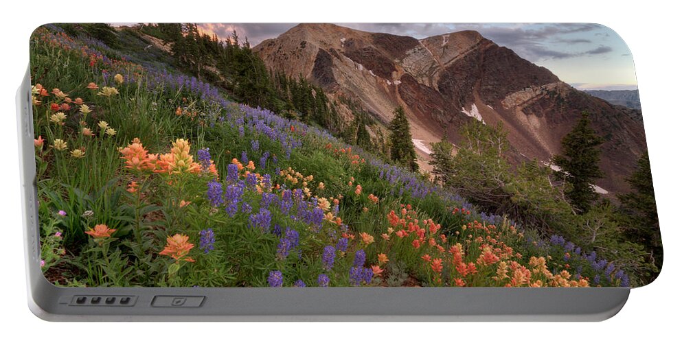 Landscape Portable Battery Charger featuring the photograph Wildflowers with Twin Peaks at Sunset by Brett Pelletier