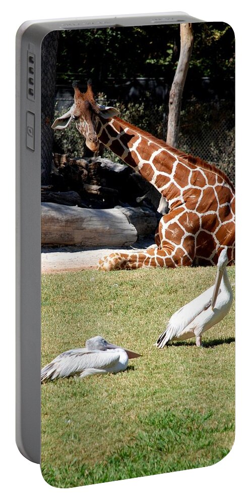 Ft. Worth Zoo Portable Battery Charger featuring the photograph Wildlife Enjoys the Sun by Kenny Glover