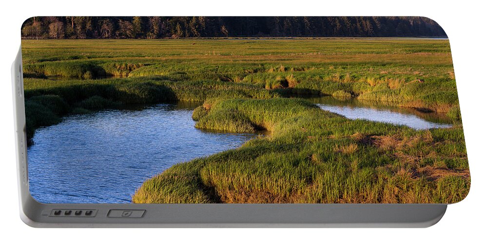 Bay Portable Battery Charger featuring the photograph Willapa Salt Marsh by Robert Potts
