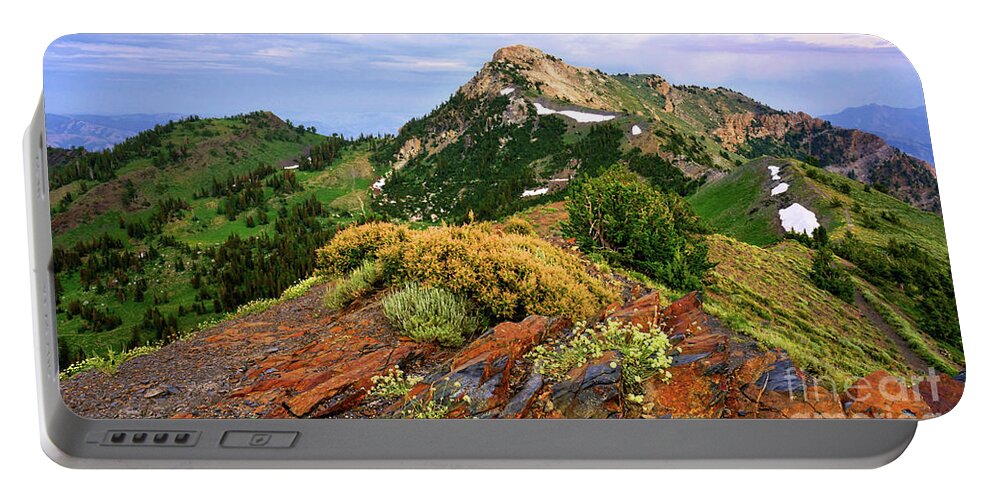 Wild Flowers Portable Battery Charger featuring the photograph Willard Peak by Roxie Crouch
