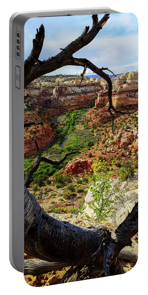 Chad Dutson Portable Battery Charger featuring the photograph Window by Chad Dutson