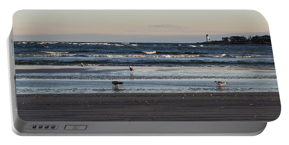 Wingaersheek Portable Battery Charger featuring the photograph Wingaersheek Beach Seagulls at Sunrise by Toby McGuire