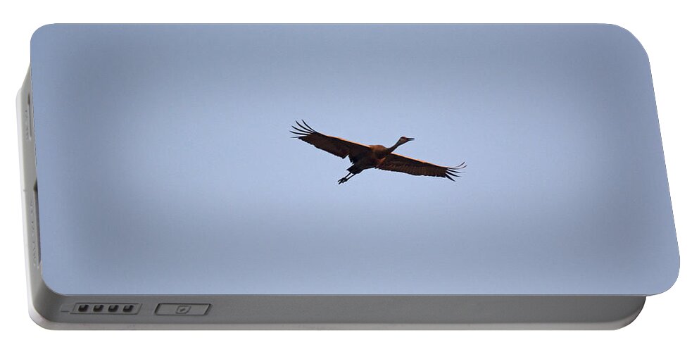 Sandhill Crane Portable Battery Charger featuring the photograph Wings Stretched by Linda Kerkau