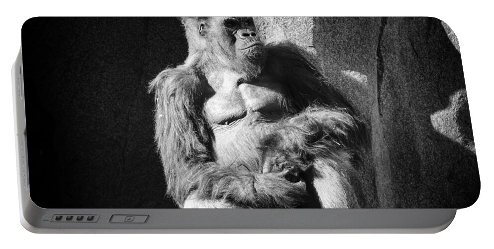 Silverback Gorilla Portable Battery Charger featuring the photograph Winston by Lawrence Knutsson
