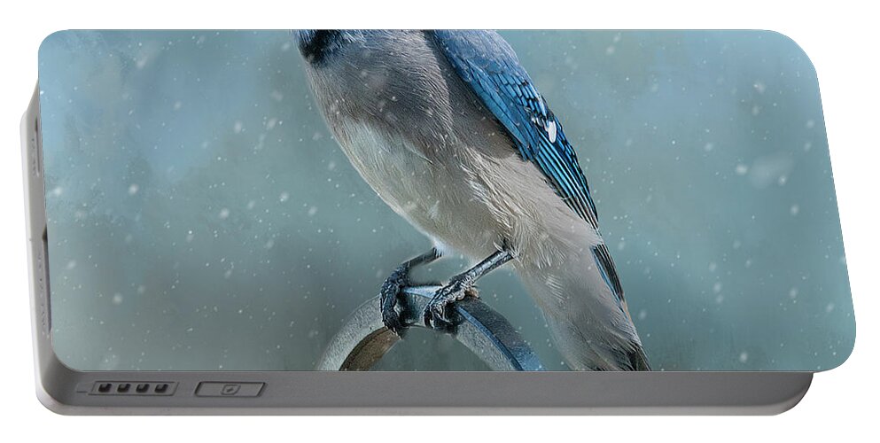 Blue Jay Portable Battery Charger featuring the photograph Winter Blue Jay Square by Cathy Kovarik
