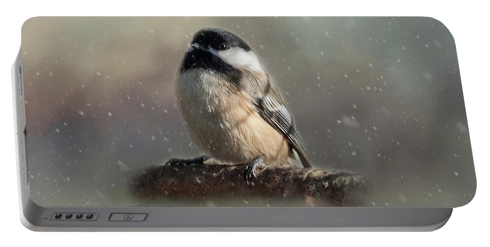 Song Bird Portable Battery Charger featuring the photograph Winter Chicadee by Cathy Kovarik