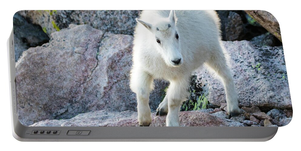 Mountain Goat Portable Battery Charger featuring the photograph Winter Coats #2 by Mindy Musick King