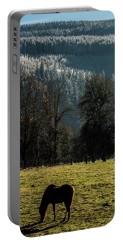 Horse Portable Battery Charger featuring the photograph Winter Coming Down by Laddie Halupa