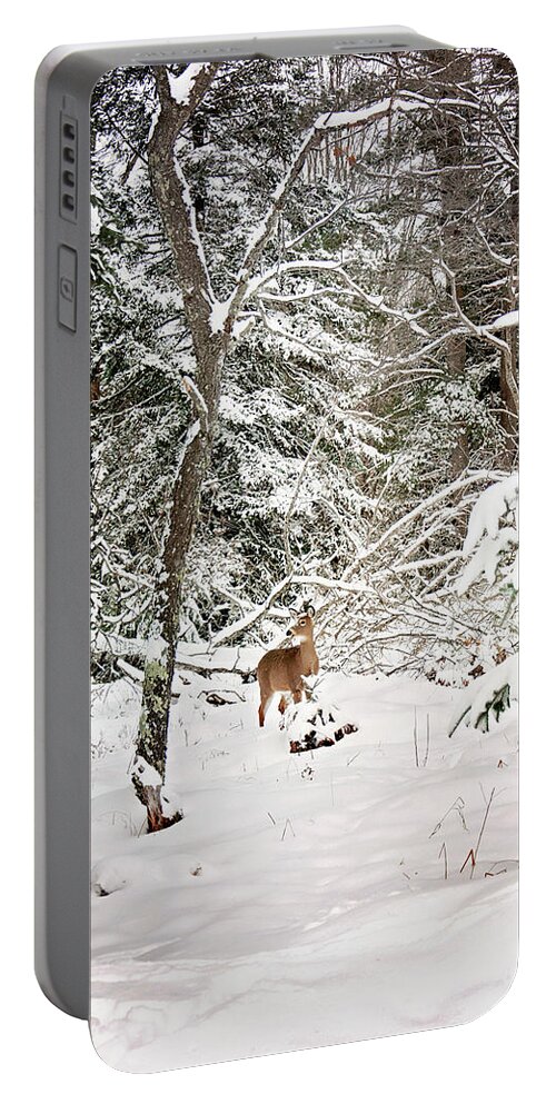 Winter Deer In The Forest Print Portable Battery Charger featuring the photograph Winter Deer in the Forest by Gwen Gibson