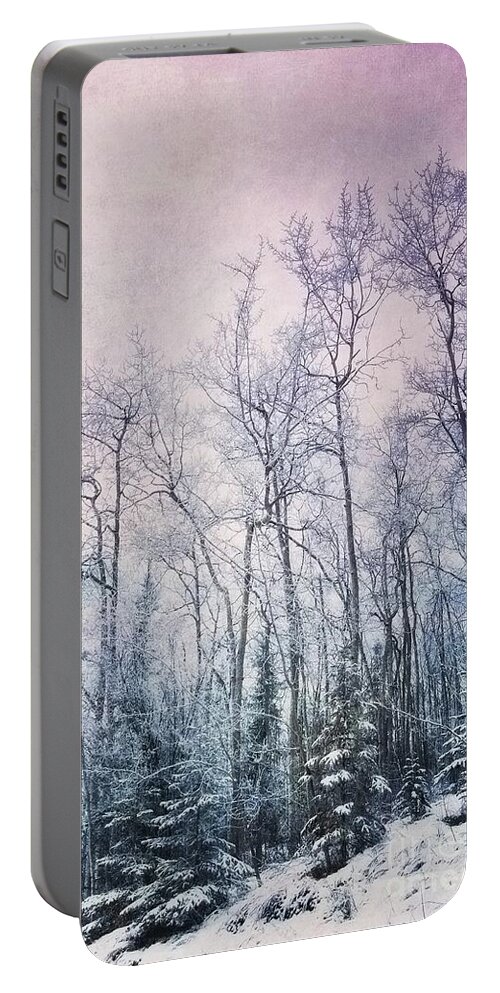 Forest Portable Battery Charger featuring the photograph Winter Forest by Priska Wettstein