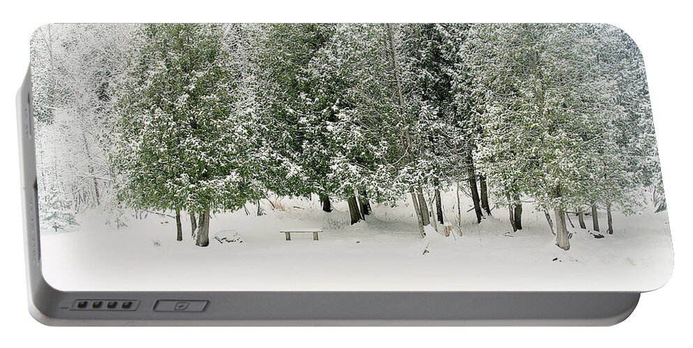Winter Ice Storm Print Portable Battery Charger featuring the photograph Winter Ice Storm Print by Gwen Gibson