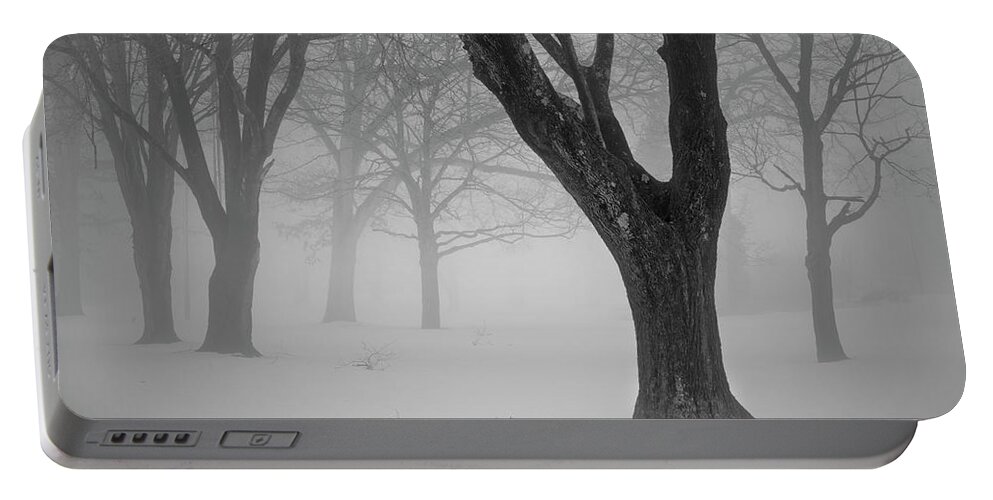 Landscape Portable Battery Charger featuring the photograph Winter Landscape V by David Gordon