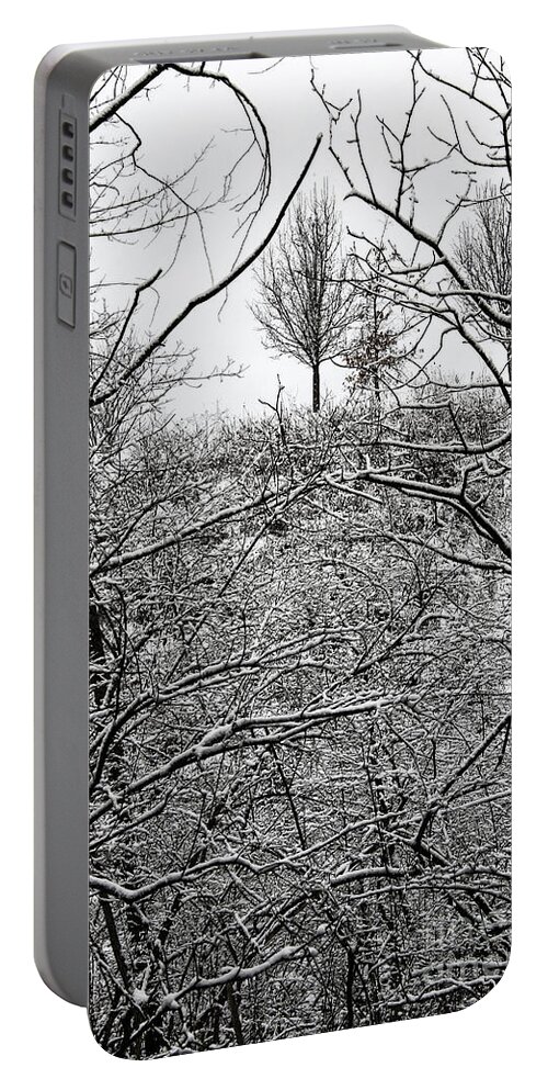 Landscape Portable Battery Charger featuring the photograph Winter Lines by Karen Adams