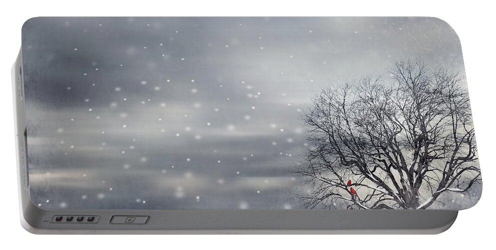 Four Seasons Portable Battery Charger featuring the photograph Winter by Lourry Legarde