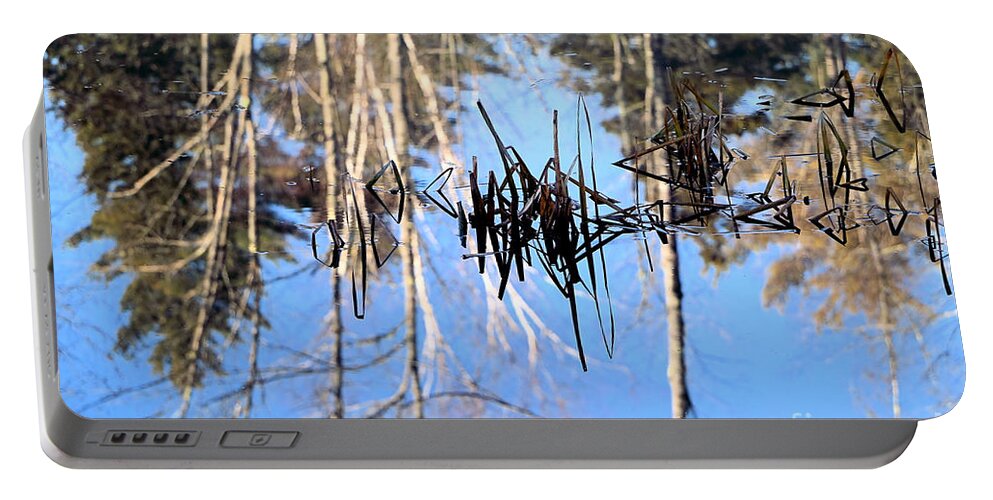 Winter Portable Battery Charger featuring the photograph Winter Pond by Elizabeth Dow