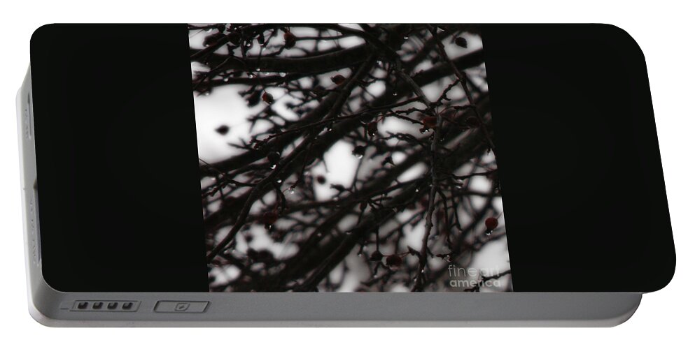 Branches Portable Battery Charger featuring the photograph Winter Rain by Linda Shafer