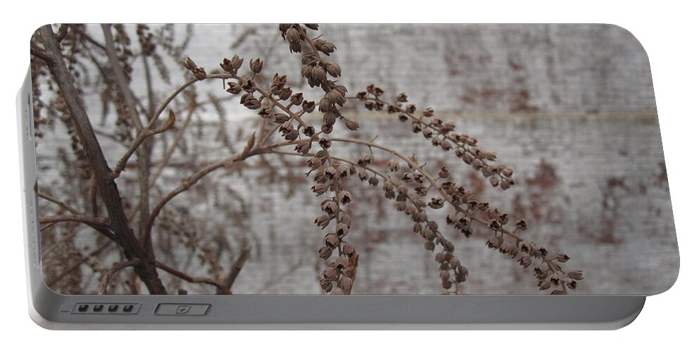 Seed Portable Battery Charger featuring the photograph Winter Seed Pods by Brandy Woods