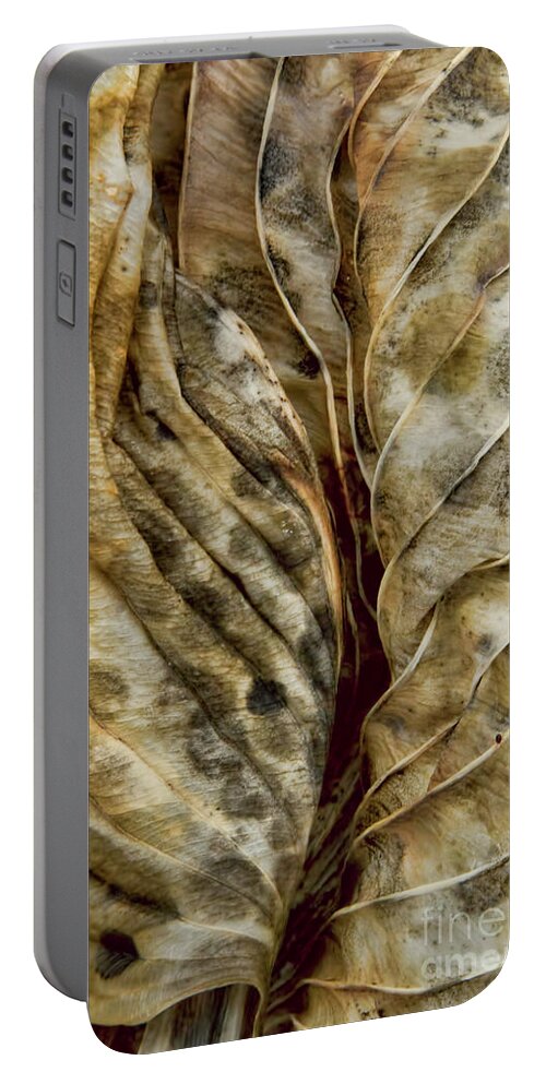 Abstracts Portable Battery Charger featuring the photograph Winter Song by Marilyn Cornwell