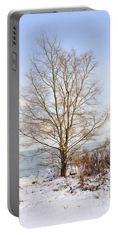 Tree Portable Battery Charger featuring the photograph Winter tree on shore by Elena Elisseeva