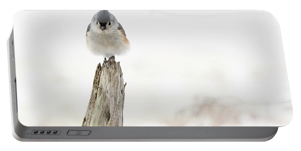 Bird Portable Battery Charger featuring the photograph Winter Visit by Holly Ross