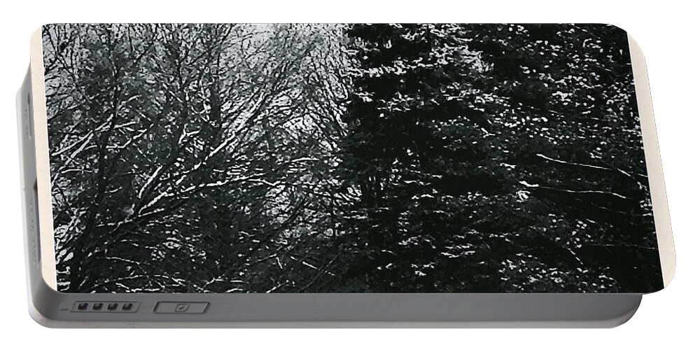 Landscape Portable Battery Charger featuring the photograph Wintery Woods by Frank J Casella