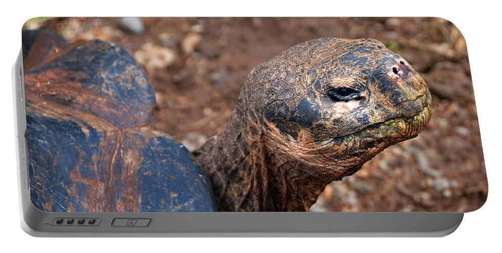 Chelonoidis Nigra Portable Battery Charger featuring the photograph Wise Old Tortoise by Catherine Sherman