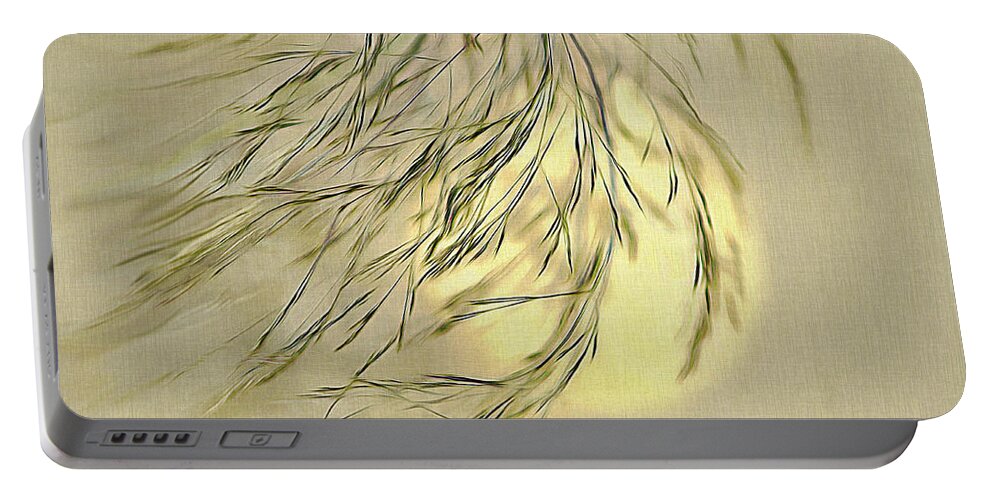 Sun Portable Battery Charger featuring the digital art Wispy Sunset-1 by Nina Bradica