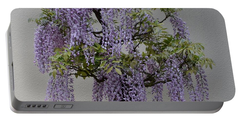 Wisteria Portable Battery Charger featuring the photograph Wisteria Bonsai by Jimmy Chuck Smith
