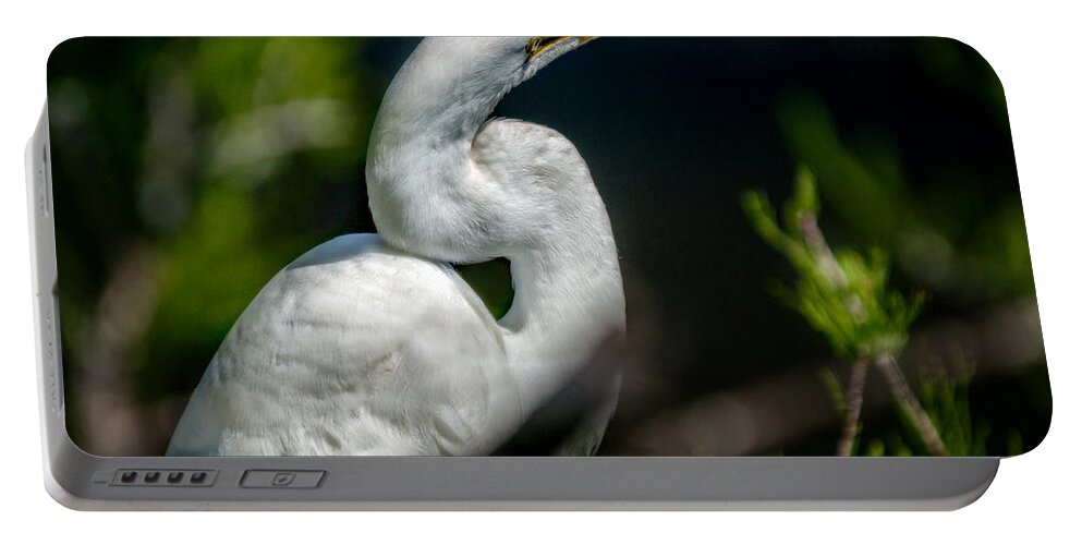 Christopher Holmes Photography Portable Battery Charger featuring the photograph White Egret 2 by Christopher Holmes