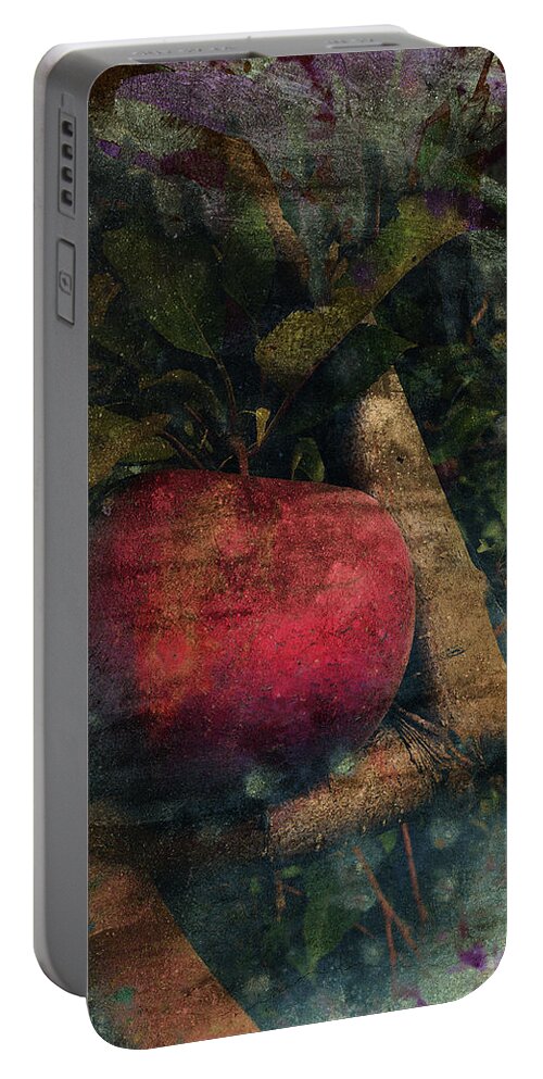 Apple Portable Battery Charger featuring the photograph Without Consequence by Char Szabo-Perricelli
