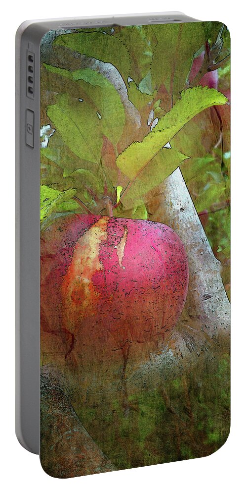 Apple Portable Battery Charger featuring the photograph Without Consequence II by Char Szabo-Perricelli