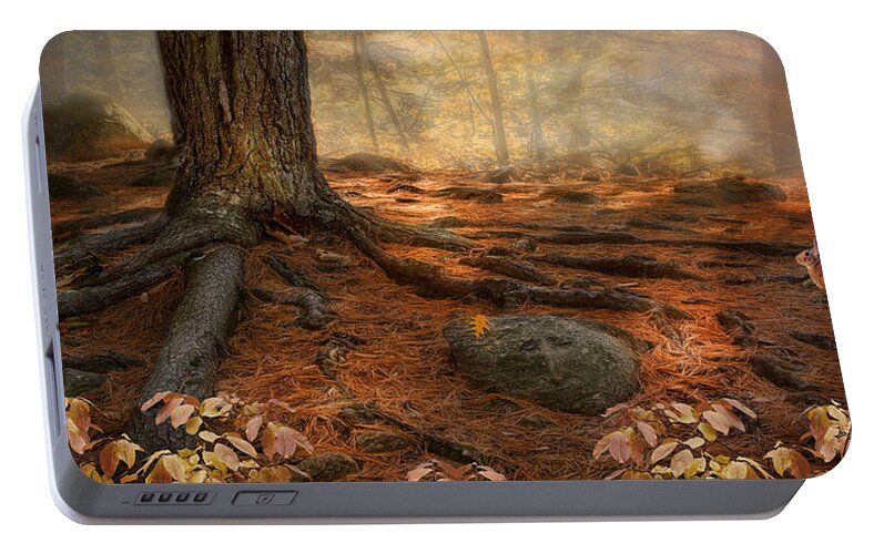 Woodland Portable Battery Charger featuring the photograph Wonder Always by Robin-Lee Vieira