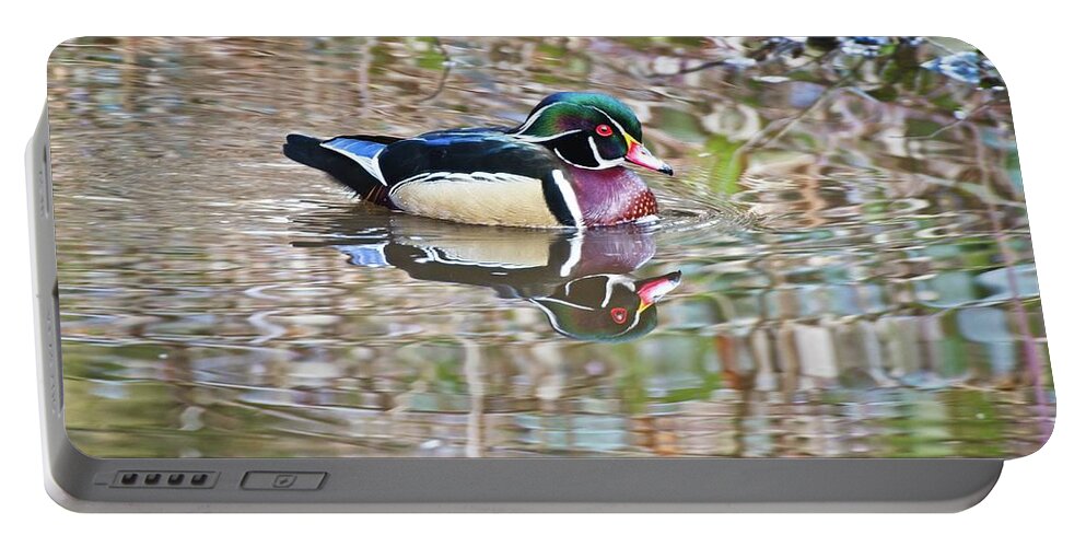 Wood Duck Portable Battery Charger featuring the photograph Wood Drake by Allan Van Gasbeck