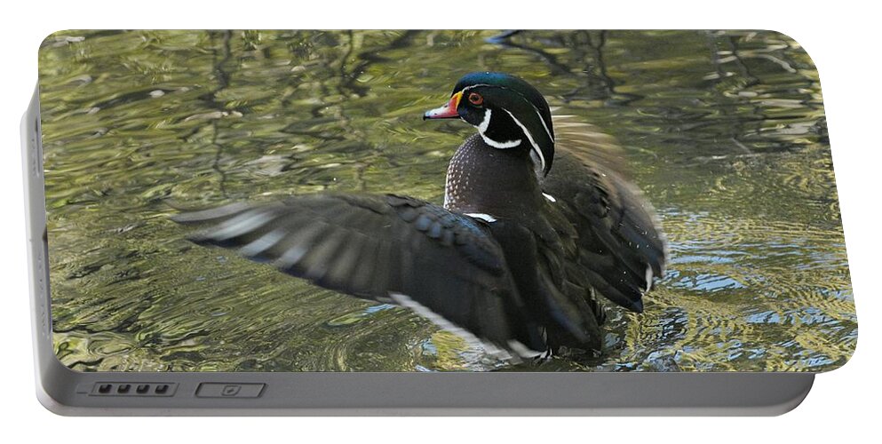 Wood Duck Portable Battery Charger featuring the photograph Wood Duck Bravado 3 by Fraida Gutovich