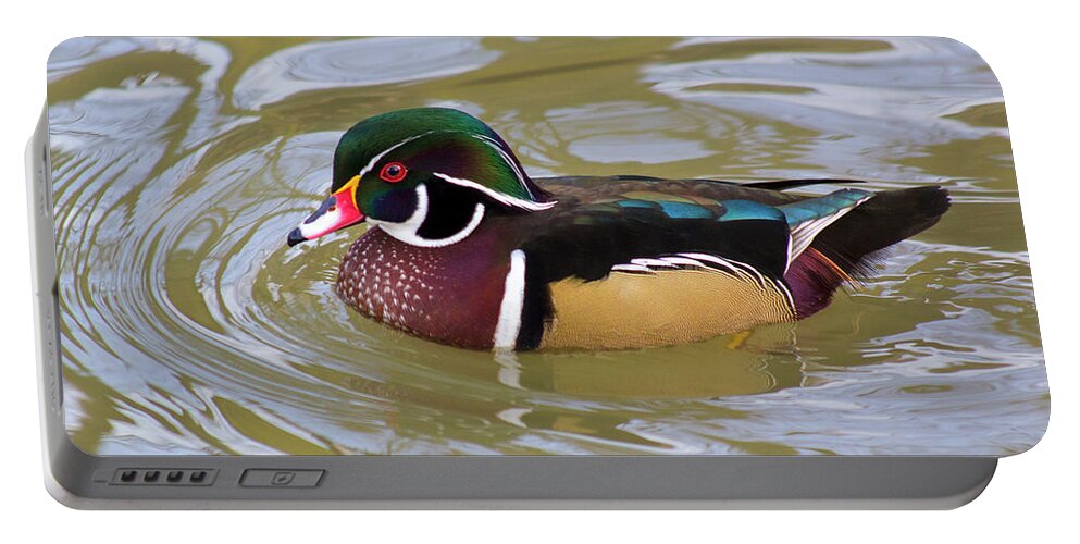 Wildlife Portable Battery Charger featuring the photograph Wood duck by David Stasiak