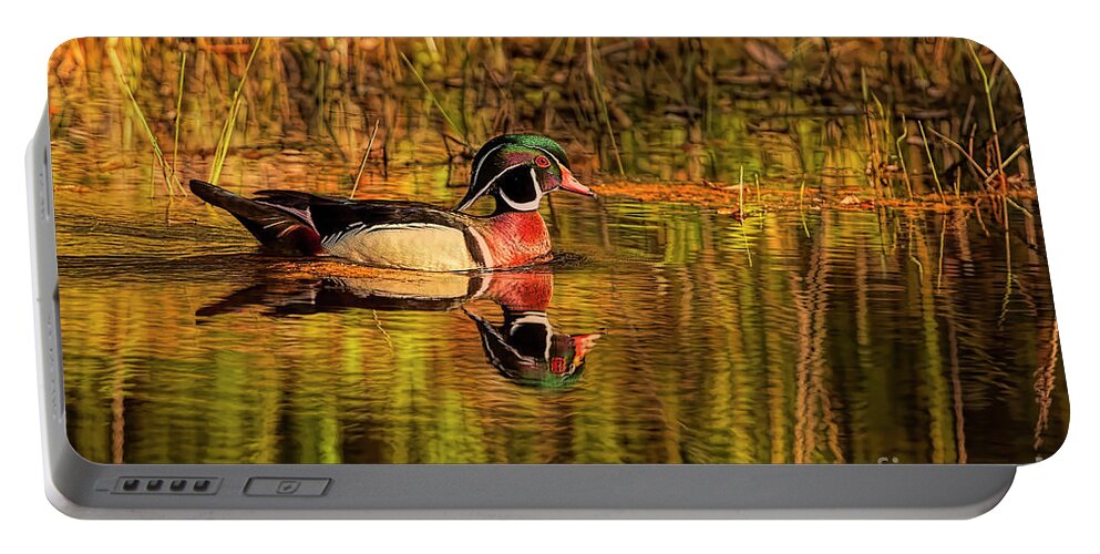 Duck Portable Battery Charger featuring the photograph Wood Duck Evening by Deborah Benoit