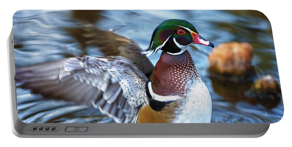 Wildlife Portable Battery Charger featuring the photograph Wood Duck Flap by Bill and Linda Tiepelman