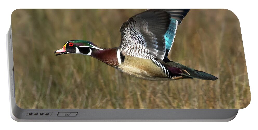 Animals Portable Battery Charger featuring the photograph Wood Duck Flight by Art Cole