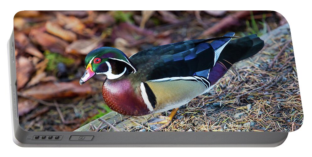 Bird Portable Battery Charger featuring the digital art Wood Duck by Birdly Canada