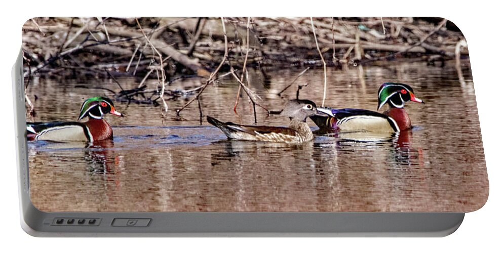 Wood Duck Portable Battery Charger featuring the photograph Wood Duck Trio by Ira Marcus