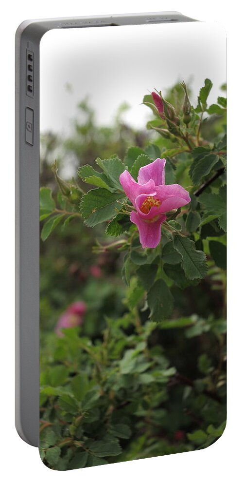 Rose Portable Battery Charger featuring the photograph Wood Rose by Jessica Myscofski