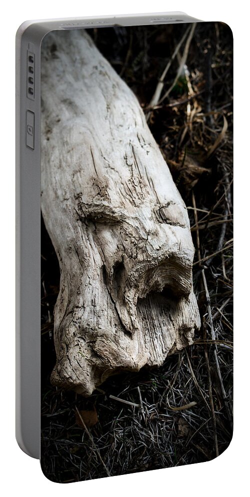 Abstract Portable Battery Charger featuring the photograph Wood Spirit 2 by Cathy Mahnke
