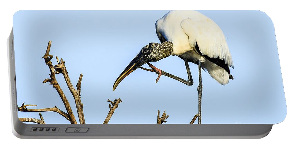 Wood Stork Portable Battery Charger featuring the photograph Wood Stork 2 by Ben Graham